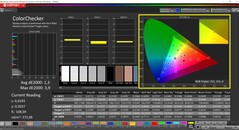CalMAN ColorChecker (profil: sRGB, docelowa przestrzeń kolorów sRGB)